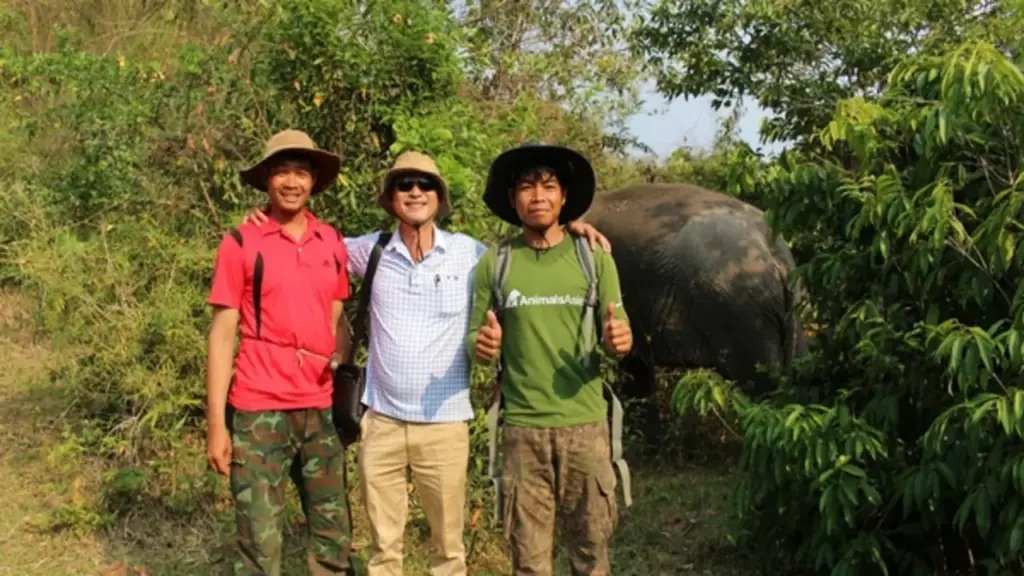 Vào rừng sâu Liên Sơn Lắk tìm voi sống tự do giữa đại ngàn Tây nguyên