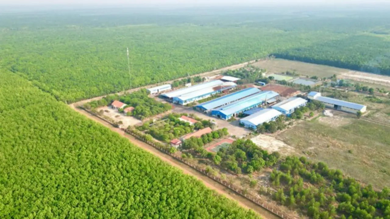 VRG đặt mục tiêu thành tập đoàn nông nghiệp xanh hàng đầu thế giới
