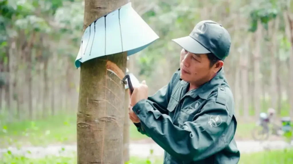 VRG: Khát vọng tăng trưởng hai con số kiến tạo không gian phát triển mới