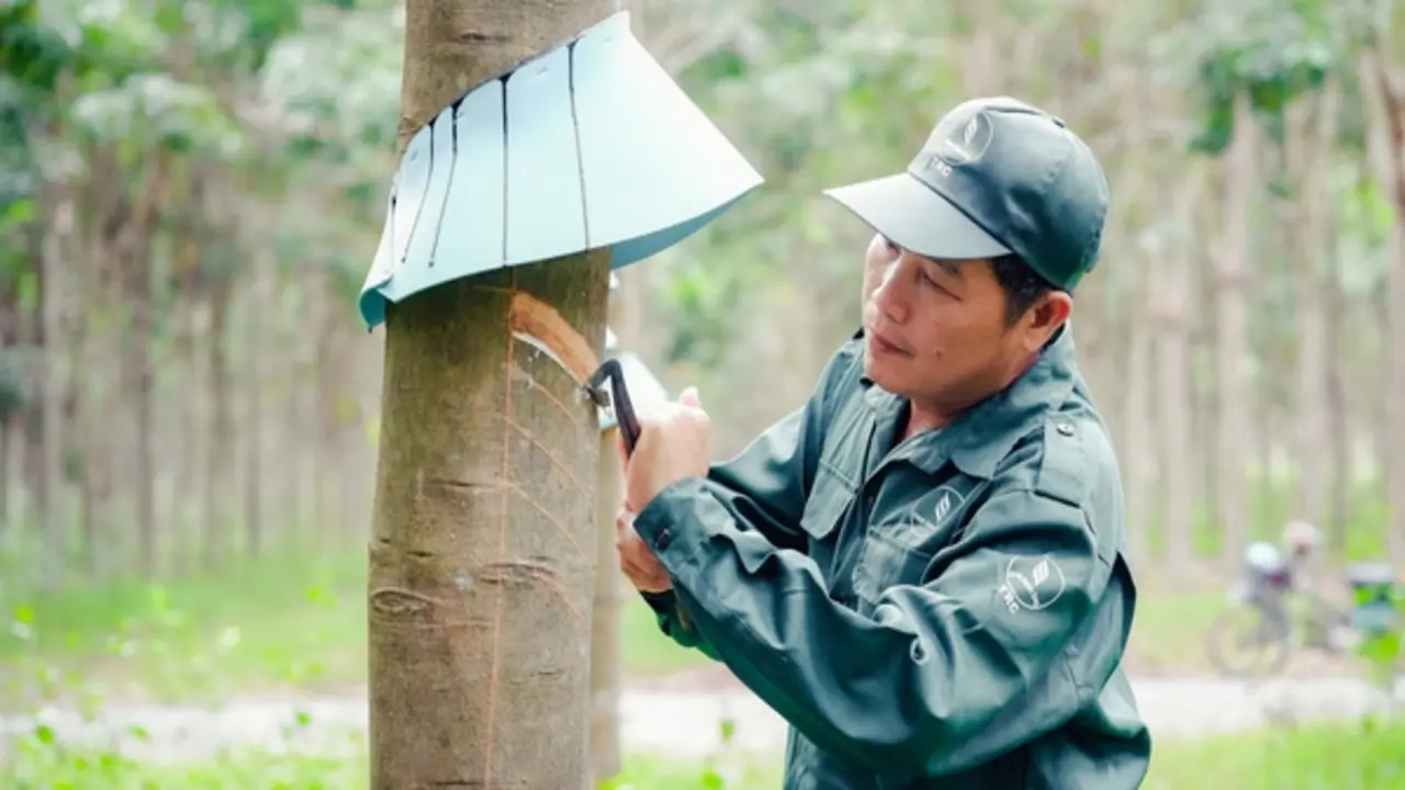 VRG: Khát vọng tăng trưởng hai con số kiến tạo không gian phát triển mới