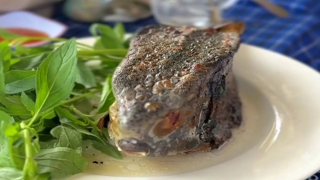 Vụ tố bị "chặt chém" con cá gần 3 triệu đồng/kg: Lập tổ phản ứng nhanh