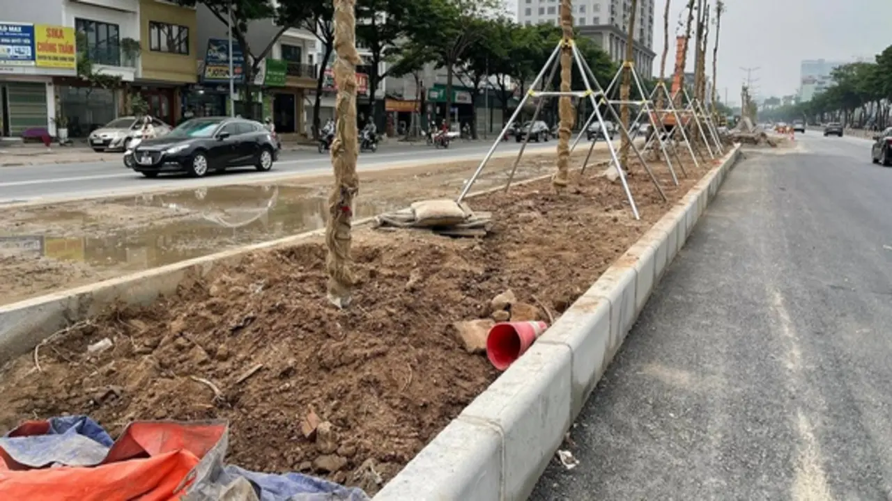 Vụ trồng cây ở đường Võ Chí Công: Nền đất dày 0,8 m, bên dưới là bê tông