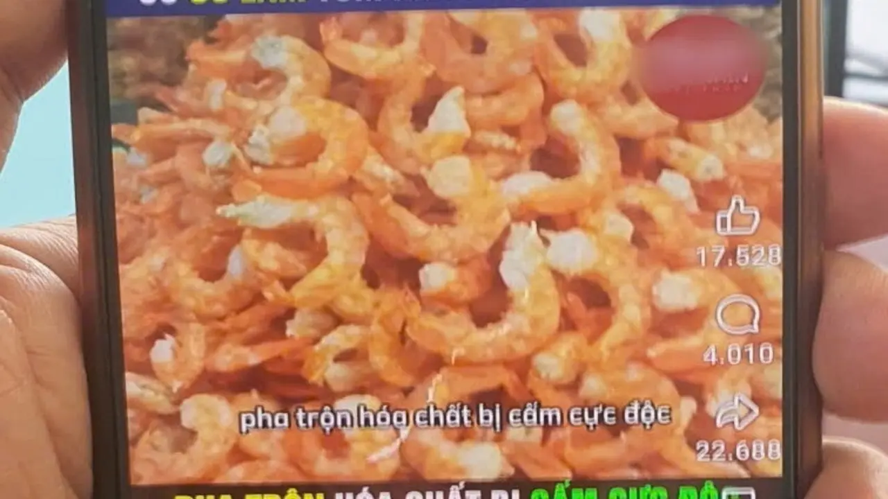 Vụ tung tin giả “tôm khô làm từ cao su non”: Bắt một đối tượng ở Hà Nội