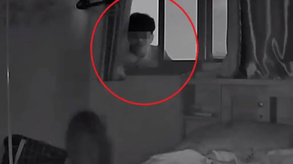 Vừa trở về nhà, cô gái bỗng phát hiện cảnh tượng “nổi da gà” nhờ hai chú mèo cưng