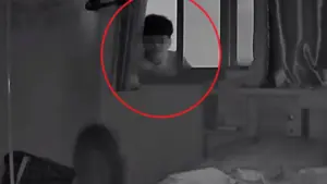 Vừa trở về nhà, cô gái bỗng phát hiện cảnh tượng “nổi da gà” nhờ hai chú mèo cưng