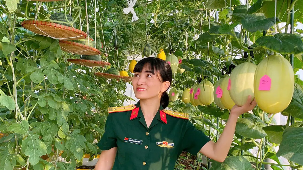 Vườn sân thượng giải nhiệt của nữ trung tá Hà Nội