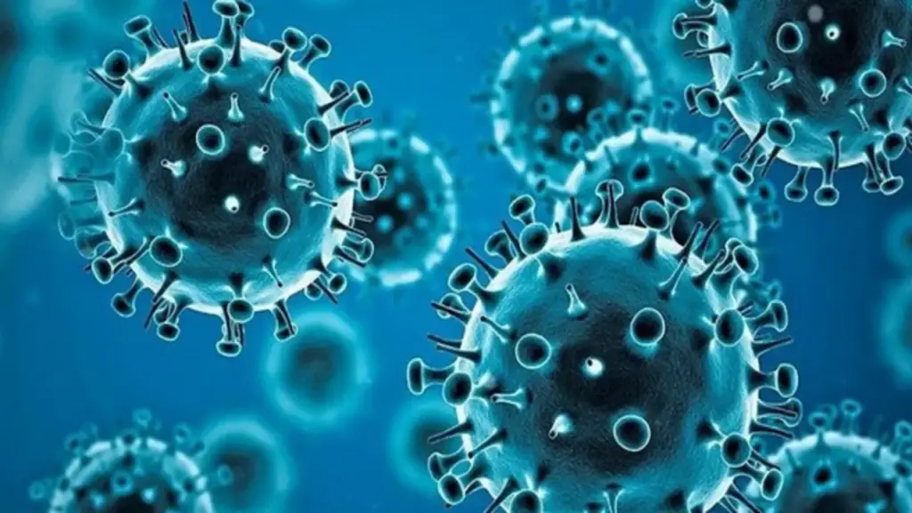 WHO tiếp tục theo dõi biến thể virus SARS-CoV-2