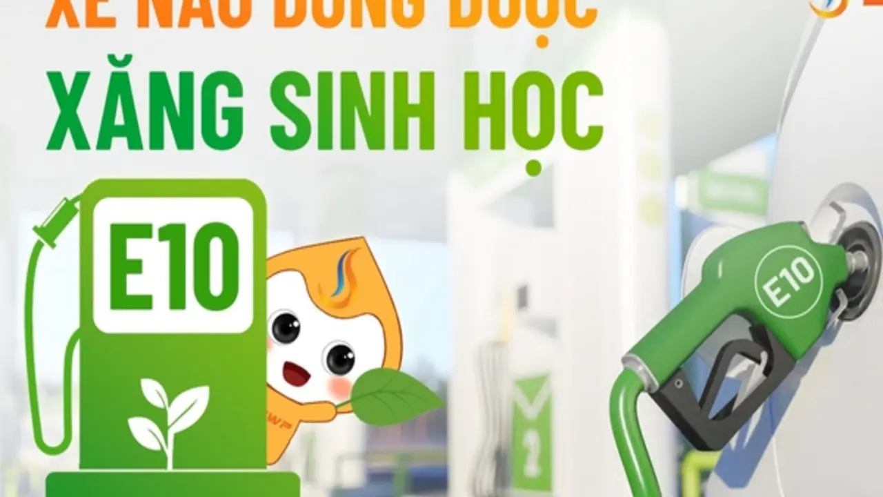 Xăng E10 bán đại trà, các hãng công bố mẫu xe tương thích và chế độ bảo hành
