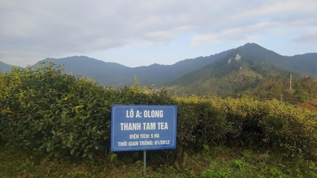 Xây dựng bản đồ số du lịch nông thôn Việt Nam