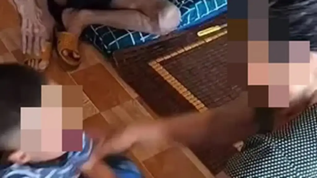 Xử lý nghiêm vụ bà nội bạo hành cháu bé, con dâu quay clip