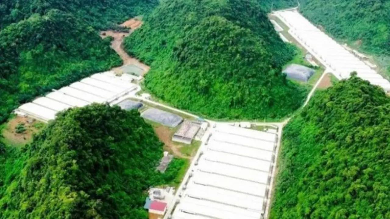5 người tử vong trong vụ tai nạn tại trang trại nuôi lợn Dabaco Thanh Hóa