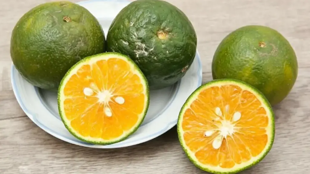 Ăn quả hay uống nước cam tốt hơn?