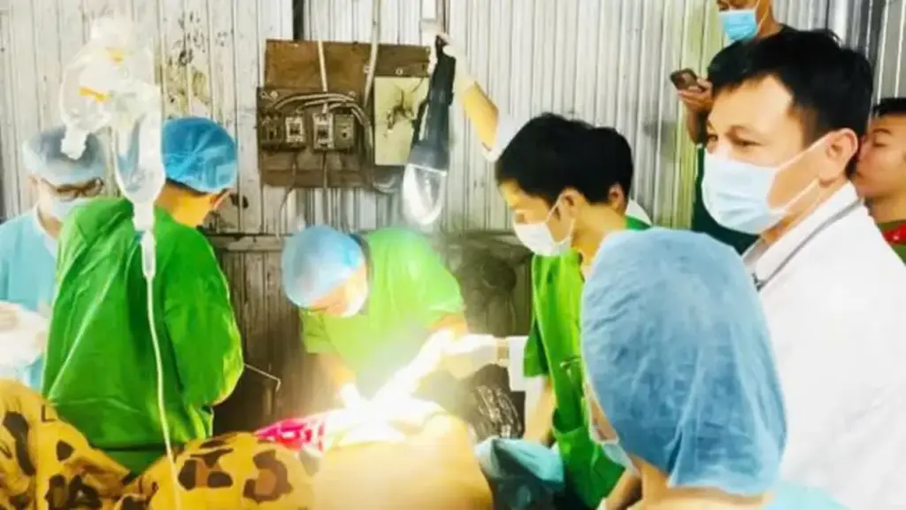 Bác sĩ kể lại quyết định sinh tử cứu nam thanh niên mắc kẹt trong máy công nghiệp