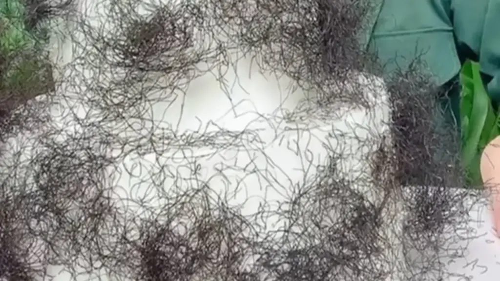 Bánh kem phủ "tóc rối" gây sốt tại Việt Nam: Nhìn như tóc thật nhưng ai cũng tò mò muốn thử