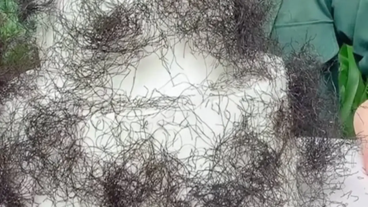 Bánh kem phủ "tóc rối" gây sốt tại Việt Nam: Nhìn như tóc thật nhưng ai cũng tò mò muốn thử