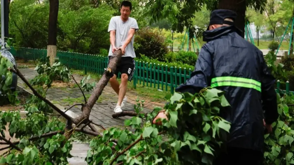 Bão Bavi quần thảo miền đông Trung Quốc