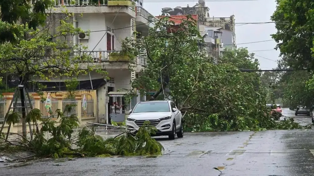 Bão Maysak đổ bộ Móng Cái