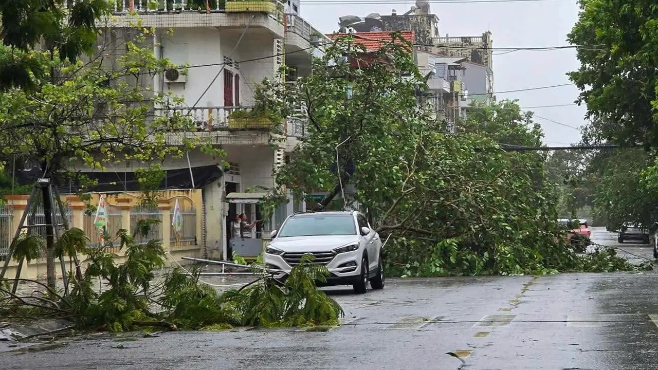 Bão Maysak đổ bộ Móng Cái