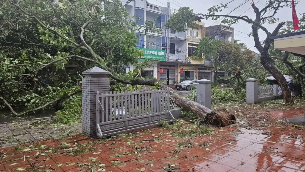 Bão Maysak gây ngập, tốc mái nhà ở Móng Cái