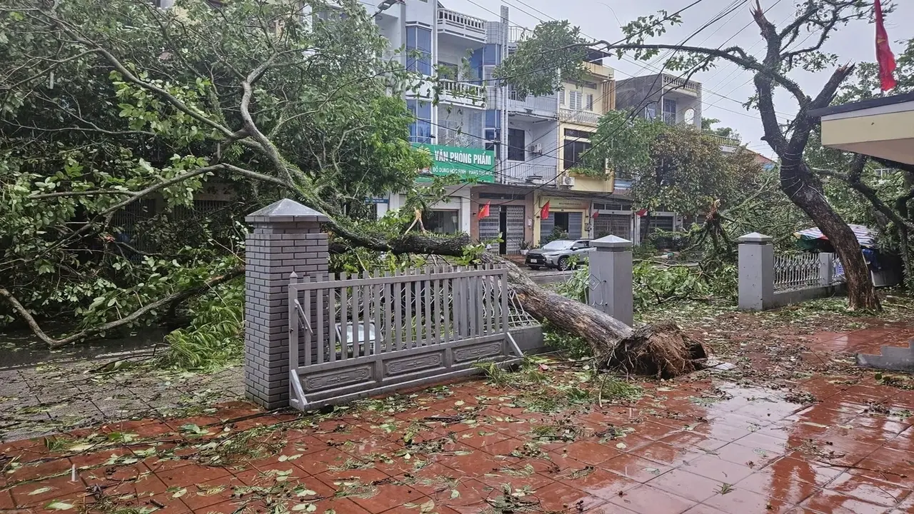 Bão Maysak gây ngập, tốc mái nhà ở Móng Cái