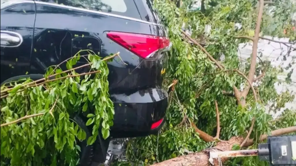 Bão số 1 quật ngã hàng trăm cây xanh, thổi bay nhiều mái tôn ở Móng Cái