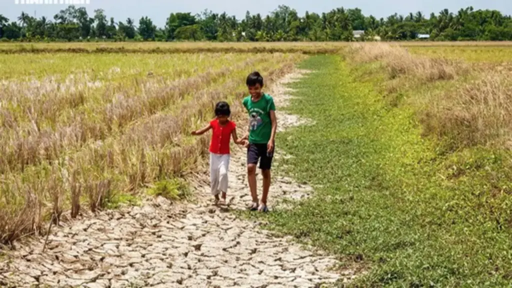Bảo vệ vựa lúa miền Tây trước 'siêu El Nino' thế nào?