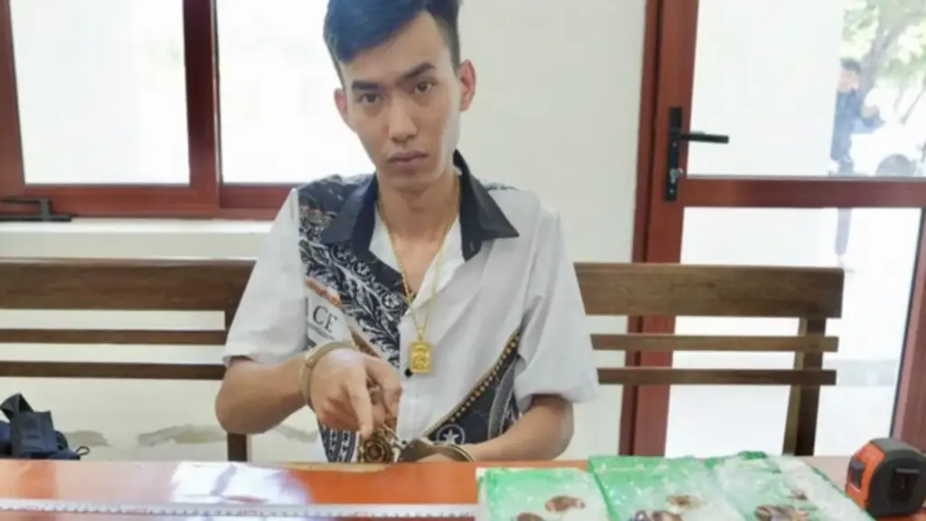 Bắt 3 bị can trong đường dây mua bán 7 kg ma túy đá và 'nước vui'