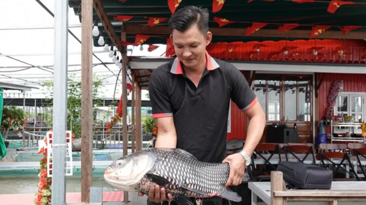 Bè nuôi cá thành điểm du lịch 'triệu view', chàng trai miền Tây thu nhập tiền tỉ