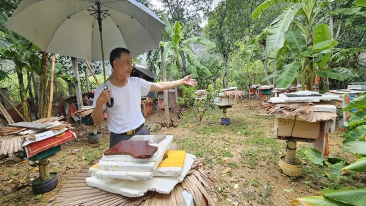 Bí quyết nuôi ong mật ở vùng đệm VQG Phong Nha – Kẻ Bàng cho thu nhập hàng tỷ đồng mỗi năm