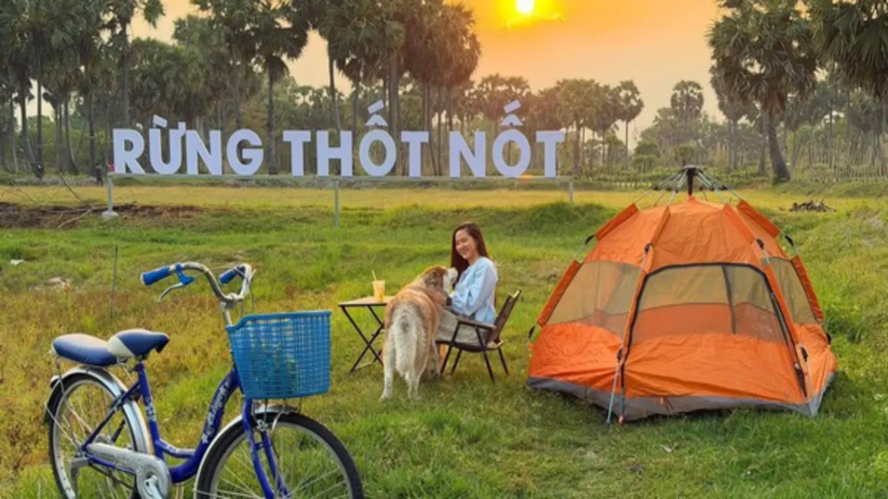 Biến rừng thốt nốt hoang sơ thành điểm du lịch độc đáo ở vùng Bảy Núi