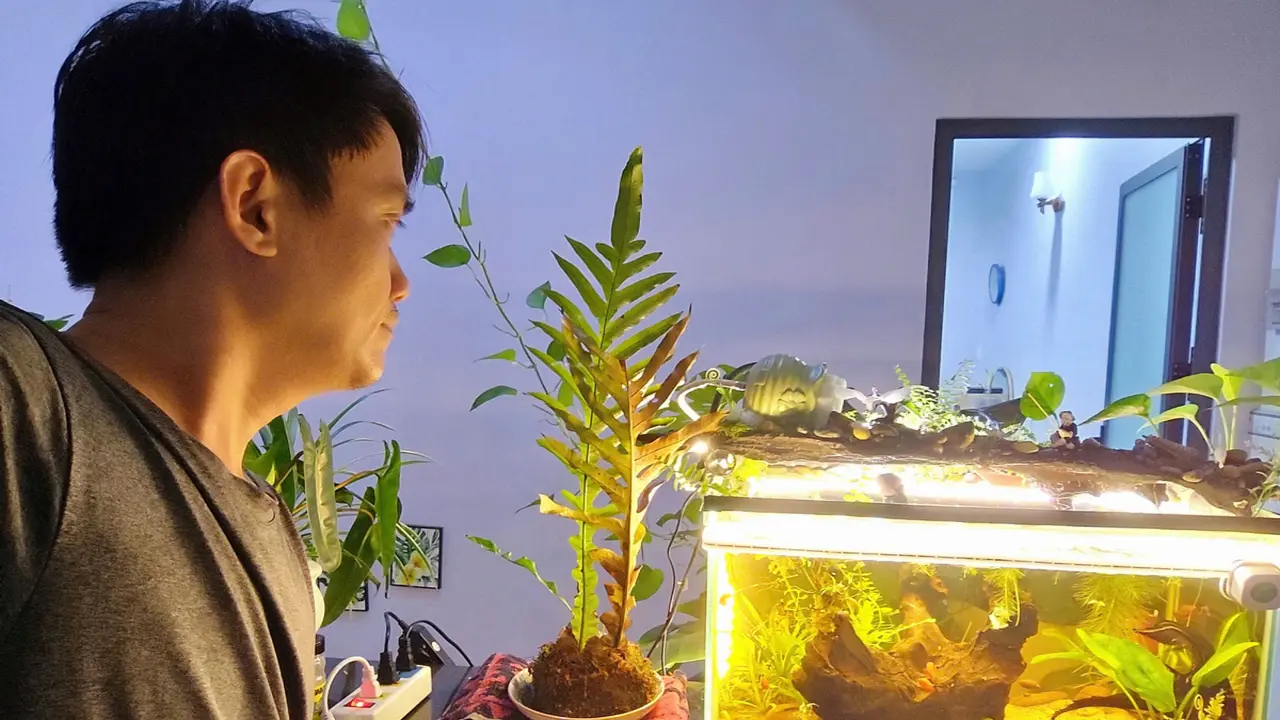 Bỏ trào lưu nghỉ hưu sớm vì không chịu nổi sự nhàn rỗi