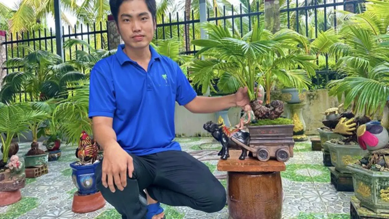 Bonsai dừa khô giá 2 triệu đồng của chàng trai miền Tây có gì đặc biệt?