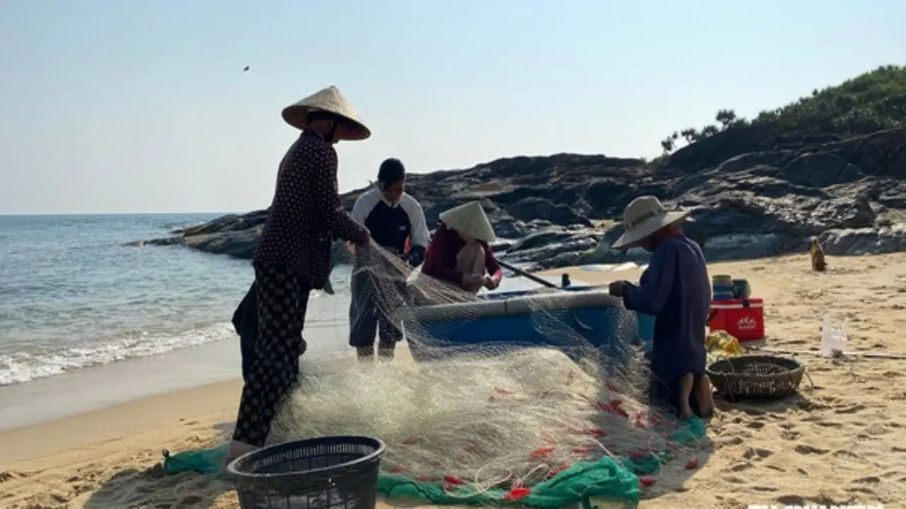 Cá từ biển lên rừng: Một thuở Sa Huỳnh gánh cá đổi lúa