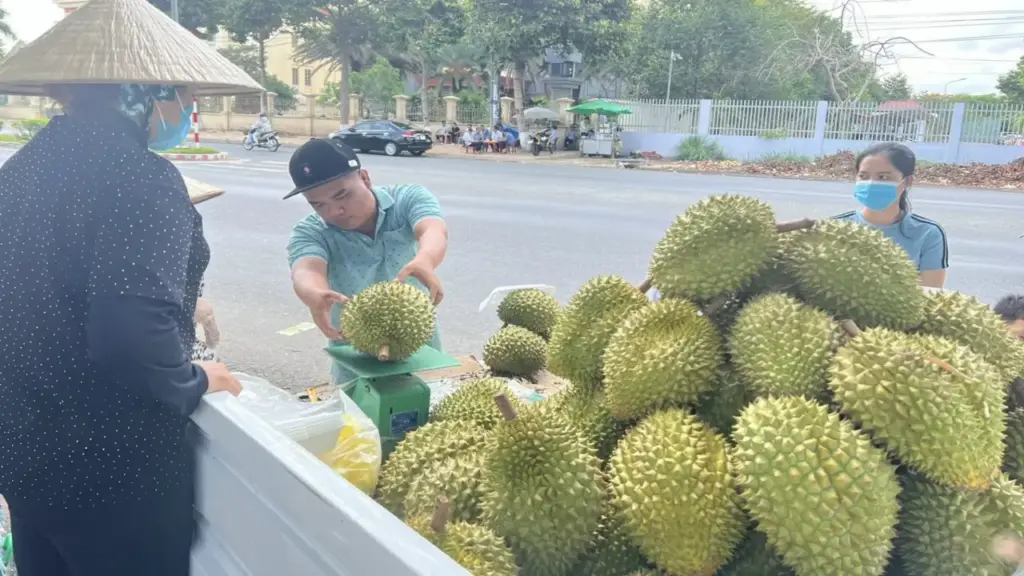 Cần Thơ 'thiết lập cơ chế phản ứng nhanh' để tiêu thụ nông sản