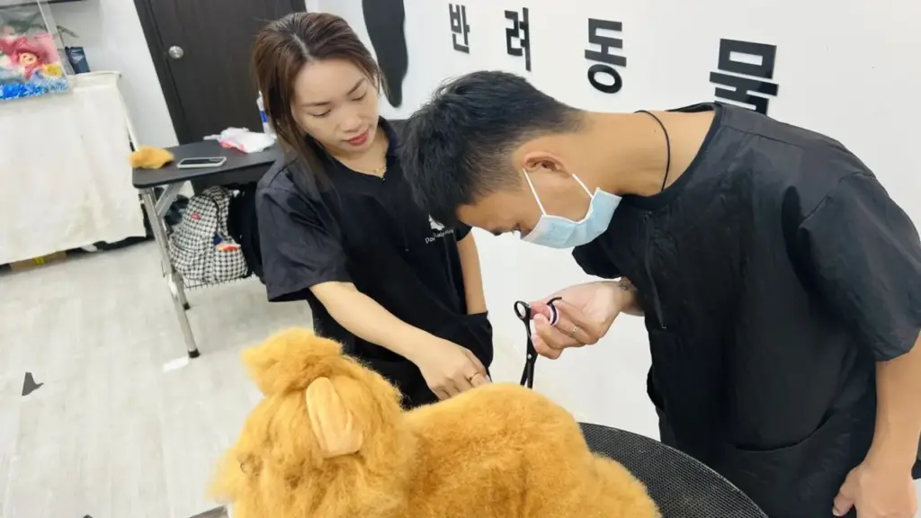 Cắt tỉa lông thú cưng, nghề 'hot' bạn trẻ rủ nhau học