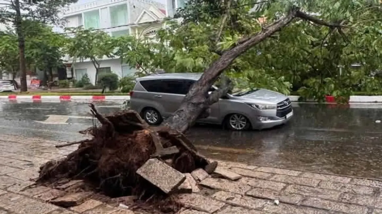 Cây ngã đè xe 7 chỗ, nhiều người thoát chết ở TPHCM