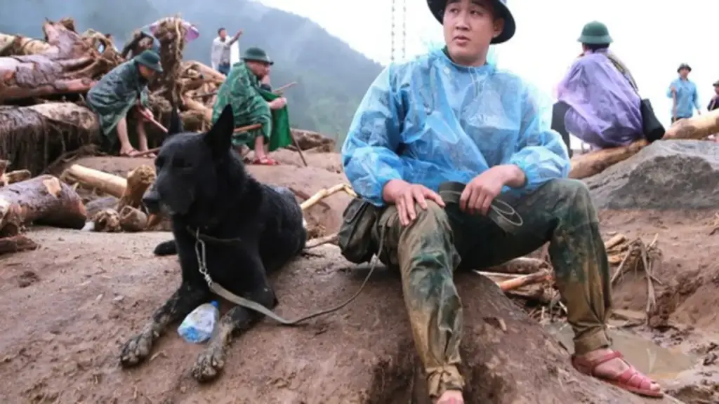 'Chiến binh 4 chân' bị thương vẫn bám hiện trường tìm nạn nhân mất tích ở Mường Than