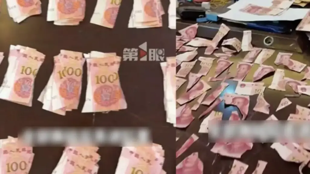 Cụ ông xé nát hơn 1 tỷ đồng tiền lương hưu và cái kết không ai ngờ