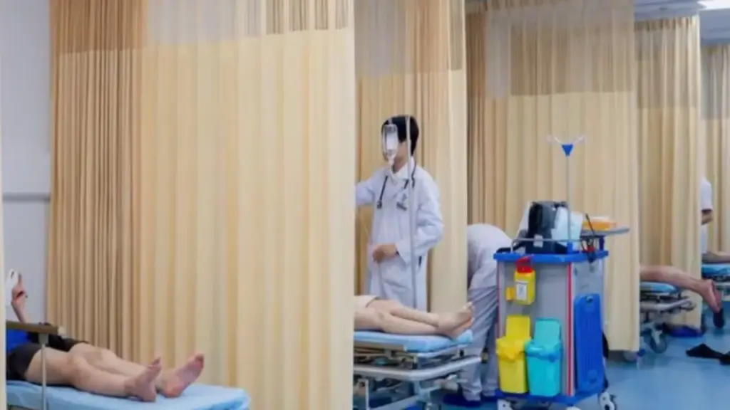 Đang đi chơi vui vẻ, 8 người bị ong vò vẽ đốt phải nhập viện