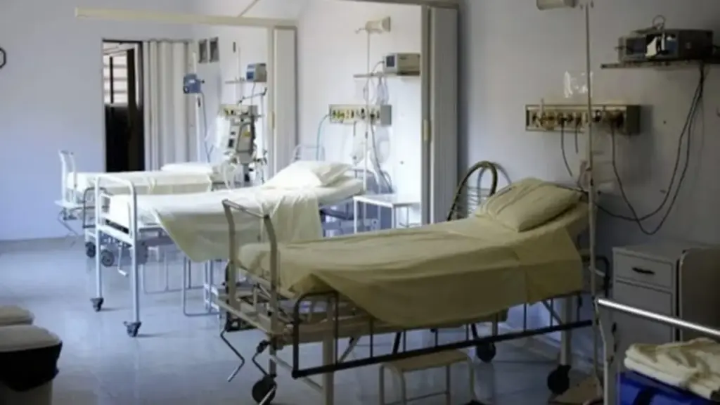 Đang ngủ trong ký túc xá, 4 học sinh bị rắn độc cắn