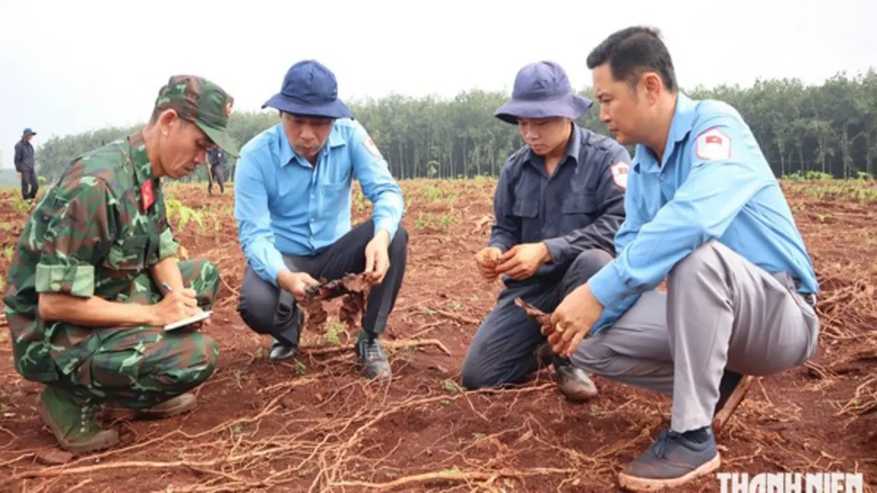 Đồng Nai: Phát hiện thêm nhiều di vật, dấu hiệu xương cốt tại xã Minh Đức