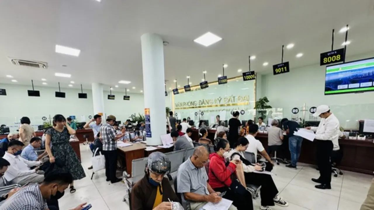 Dùng thông tin trong các cơ sở dữ liệu để thay thế hồ sơ giấy