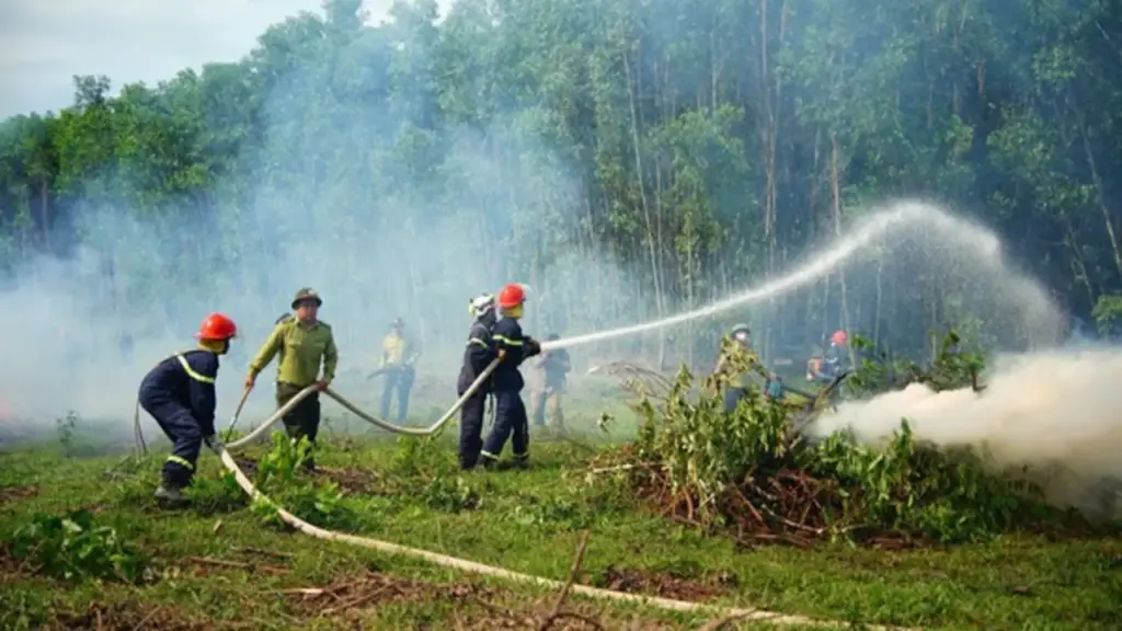 Giả định cháy rừng vì nắng nóng, Đà Nẵng huy động hàng trăm người dập lửa