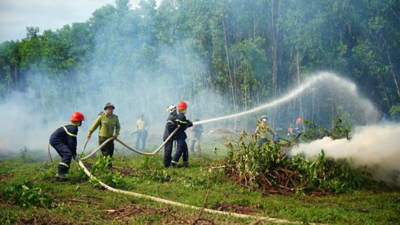 Giả định cháy rừng vì nắng nóng, Đà Nẵng huy động hàng trăm người dập lửa