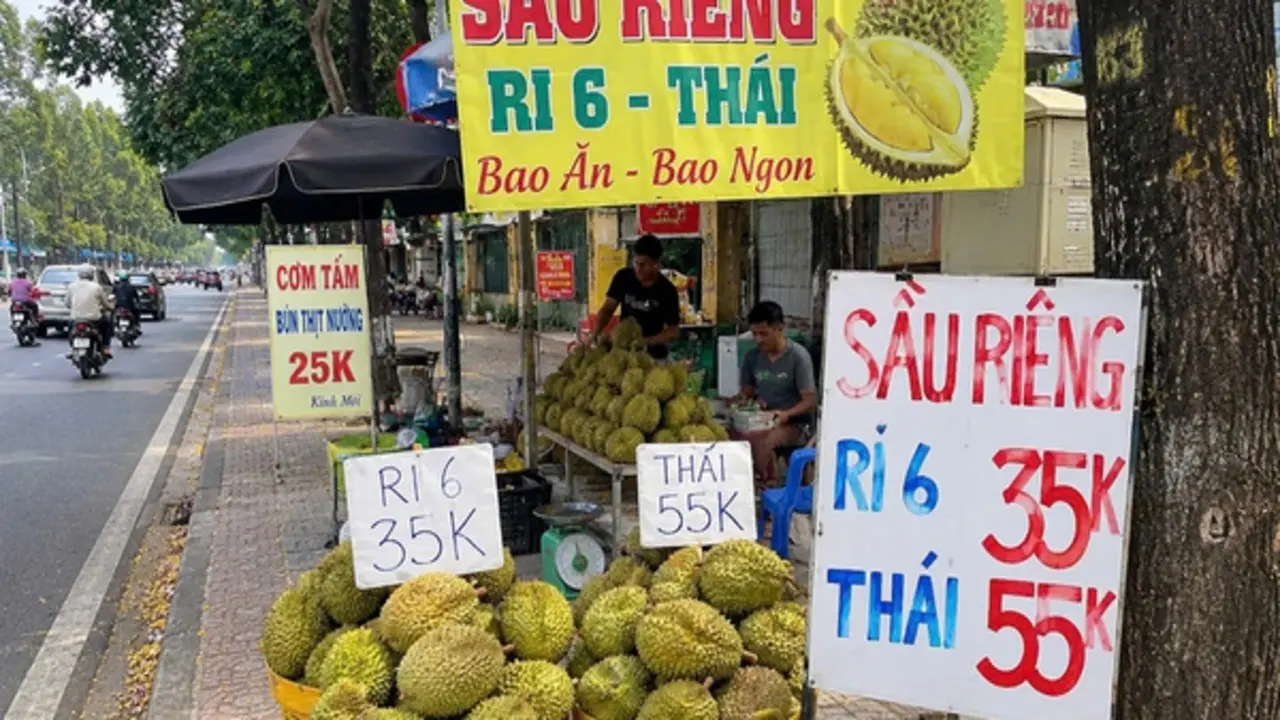 Giá sầu riêng giảm mạnh, vì sao?