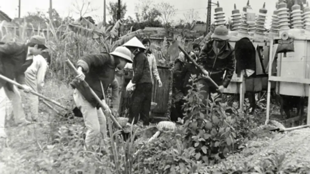 Giữ sáng Hà Nội bằng cả tuổi xuân