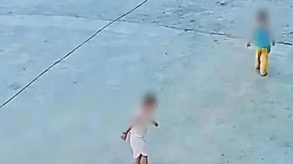 Hai đứa trẻ vô tình giẫm trúng rắn hổ mang và cái kết