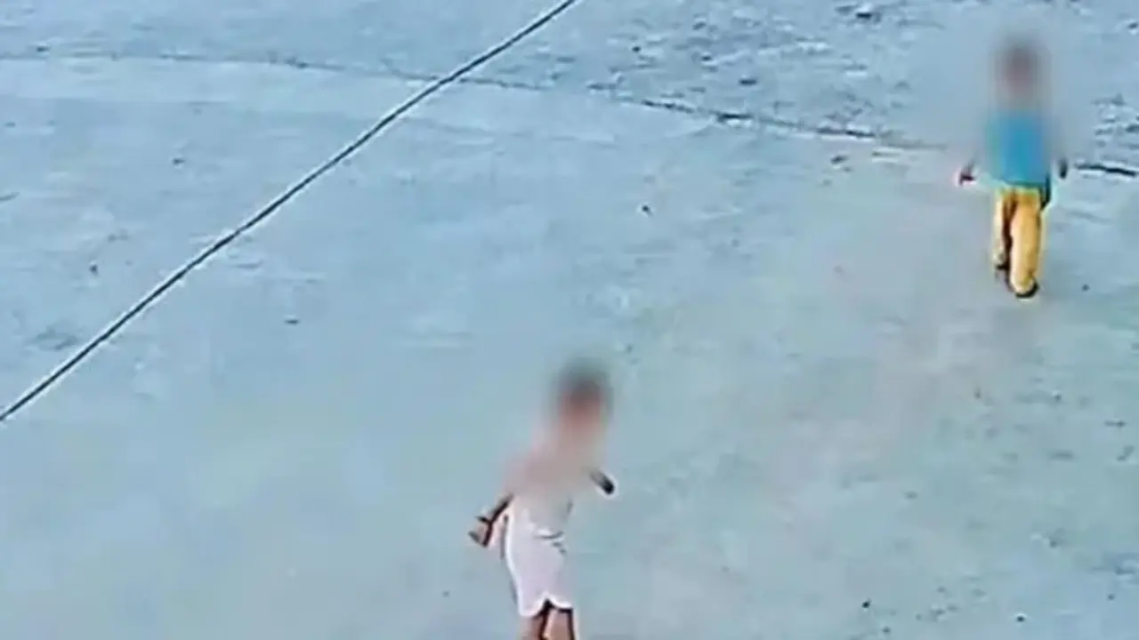 Hai đứa trẻ vô tình giẫm trúng rắn hổ mang và cái kết