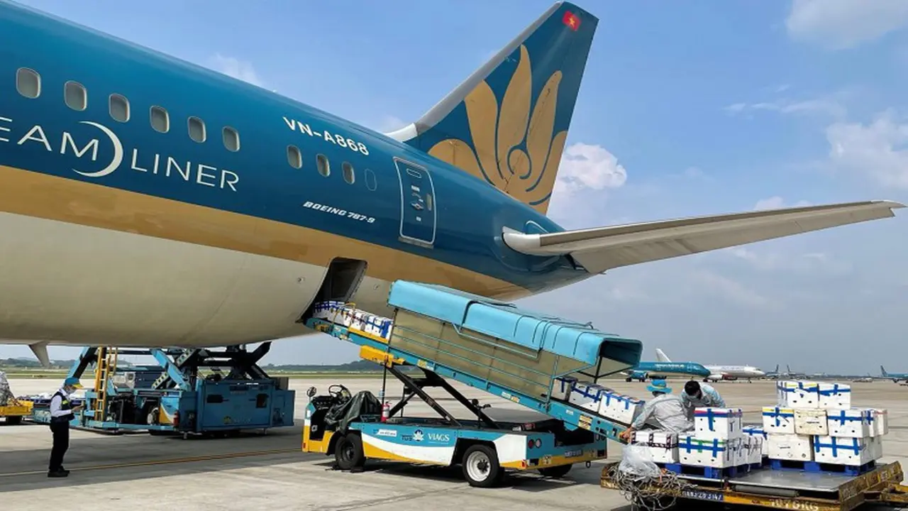 Hãng bay Việt chuẩn bị máy bay riêng cho cuộc đua vận tải hàng hóa
