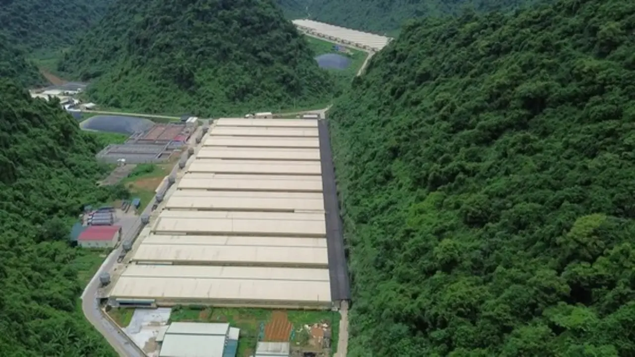 'Hội chứng búa tạ ở lò mổ' do ngộ độc cấp khí H2S